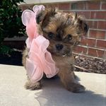 Lacey Loo Stubbs - @thelaceyloo.stubbs - Instagram