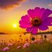 Liza Sikder - Facebook