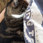 Lacey Sutton - @writerscolonypress - Instagram