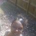 Leisa Tarver - Facebook