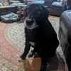 Lacey_Terry00 - @laceyboo84 - TikTok