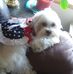 Lacey Terry - Facebook