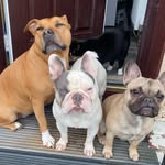 Laceyrosethomson - @laceythomson123 - Instagram