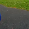 lacey.trash.12 - @lacey.trash.12 - TikTok