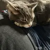 Lacey Vance - @lacey.vance7 - TikTok