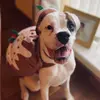 Lacey - @lacey23vinson - TikTok