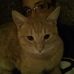 Lacey Wagner - Facebook