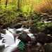 Lacey Warner - Facebook