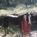 Lacey Weaver - Facebook