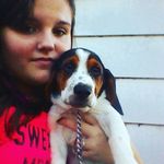 school_hater - @laceyweiss_ - Instagram