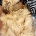 Lisa Whitlock - Facebook