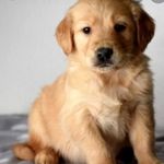 Lacey wilcoxen - @laceywilcoxen - Instagram
