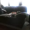 laceywise8 - @lacey.wise7 - TikTok