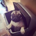 Lacey Woolley - Facebook