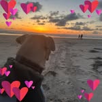 Lacy Woolery - @blazinpickles - Instagram