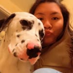 Lacey Yang✌ - @laceyyang - Instagram