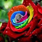 LaChanda Boyd - Facebook