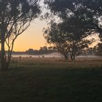 Lachlan Bailey - Facebook