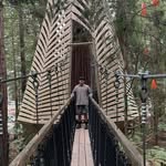 lachie - @lachlan.bishopp - Instagram