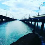 Lachlan - @lachlan_bishop - Instagram