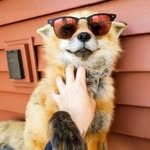 Lachlan Chambers - @whatevauwantittobe - Instagram