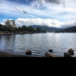 @lachlanchenj - Instagram