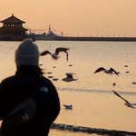 Lachy Chen - @lachlanchen945 - Instagram