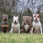 Lachlan Cooper - @lach09__ - Instagram