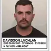 lachlan davidson335 - @novalachie25 - TikTok