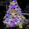 Dunn - @lachlan.dunn8 - TikTok