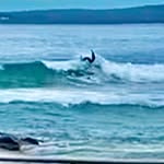 Lachlan gray - @lachiegray9 - Instagram