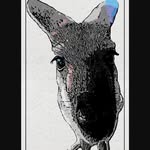 Lachlan Gray - @lachlan3602 - Instagram