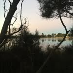 @lachlangrayyy - @_.lachlangray - Instagram