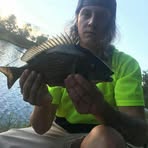 Lachlan Greer - Facebook