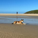 @hickson_lachlan - Instagram