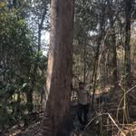 Lachlan Hudson - @lachlan5220 - Instagram