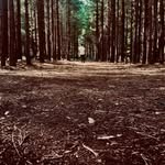 Lachlan Hudson-Cubitt - @lachlanhudsoncubitt - Instagram
