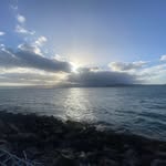 Lachlan Johnston - @lachy1190 - Instagram