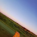 lachlan johnston - @lachlannot100 - Instagram