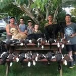 Lachlan Kirk - @kirklachlan - Instagram