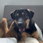 Lachlan - @lachlanmay02 - Instagram
