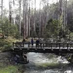 Lachlan May - @lachie_may99 - Instagram