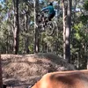 Lachlan Mayall - @lachlan.mayall - TikTok