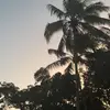 Lachlan_miles - @lachlan_milesa249 - TikTok
