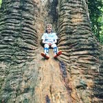 Lachlan.miles - @mrmiles354 - Instagram