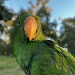 Lachlan Moore - Facebook