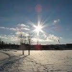 Lachlan Morrison - @nononohungryno - Instagram