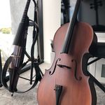 Lachlan Morrison - @lache_am - Instagram