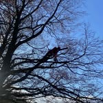 Lachlan Murphy - @lachlan_11 - Instagram