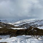 Lachlan Murray - @murray.lachlan - Instagram
